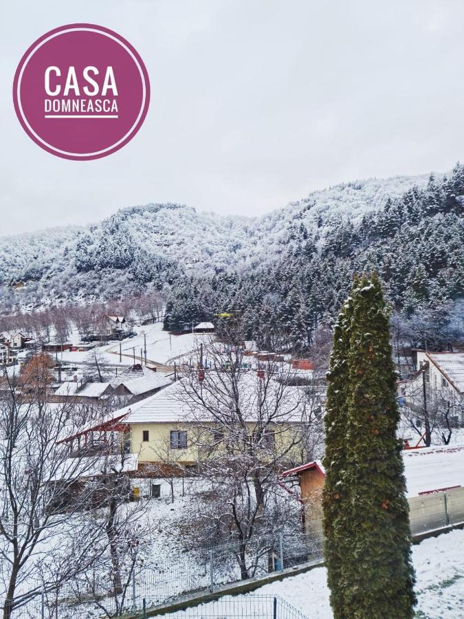 Villa Casa Domneasca Baia de Fier Exterior foto