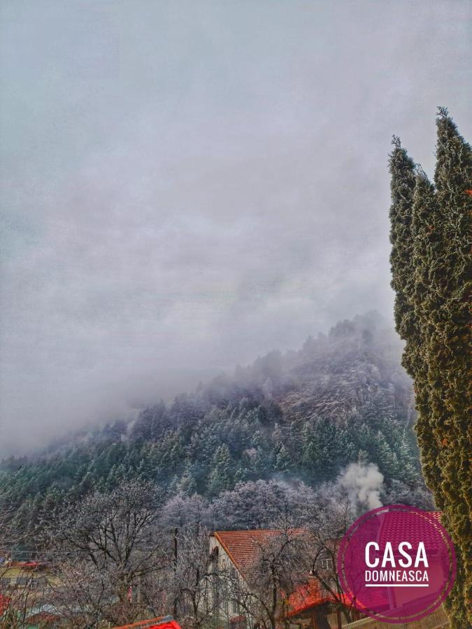 Villa Casa Domneasca Baia de Fier Exterior foto
