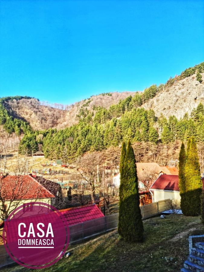 Villa Casa Domneasca Baia de Fier Exterior foto
