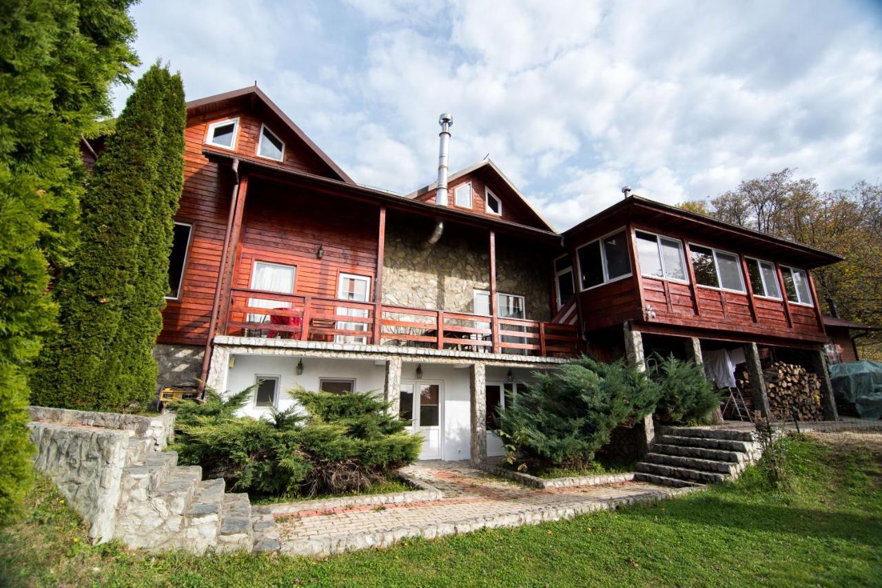 Villa Casa Domneasca Baia de Fier Exterior foto