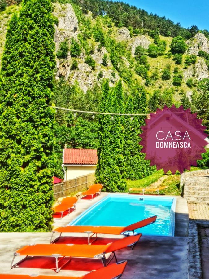 Villa Casa Domneasca Baia de Fier Exterior foto